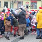 zdjęcie nr 8