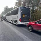 Fotka nr 5 z 6