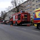 Fotka nr 4 z 14