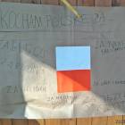 Fotka nr 1 z 16