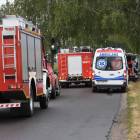 Fotka nr 4 z 20