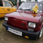 zdjęcie nr 40