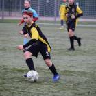 zdjęcie nr 17