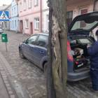 zdjęcie nr 7
