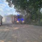 zdjęcie nr 13