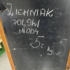zdjęcie nr 23