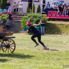 Fotka nr 5 z 38