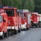 zdjęcie nr 52