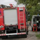 Fotka nr 3 z 21