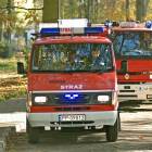 zdjęcie nr 40