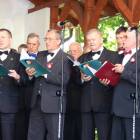 zdjęcie nr 12