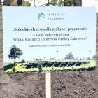 zdjęcie nr 31