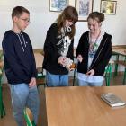 zdjęcie nr 7