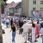 zdjęcie nr 55