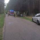 Fotka nr 1 z 2