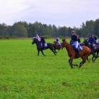 zdjęcie nr 21