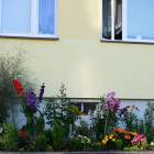 zdjęcie nr 32