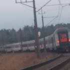 Fotka nr 1 z 2