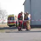 zdjęcie nr 9