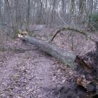 zdjęcie nr 50
