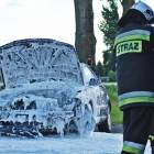 Fotka nr 4 z 13