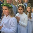 zdjęcie nr 8