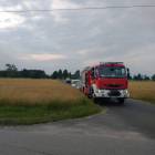 Fotka nr 2 z 3