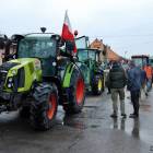 zdjęcie nr 11