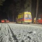 Fotka nr 1 z 5