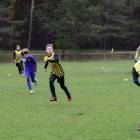 Fotka nr 4 z 59
