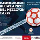 Fotka nr 5 z 6