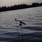 Fotka nr 1 z 10
