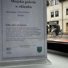 Fotka nr 5 z 6