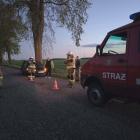 Fotka nr 2 z 7