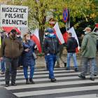 zdjęcie nr 19