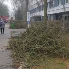 zdjęcie nr 7