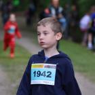 zdjęcie nr 16