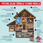 zdjęcie nr 19