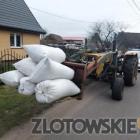 Fotka nr 2 z 3