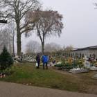 zdjęcie nr 19