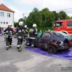zdjęcie nr 202