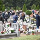 zdjęcie nr 9