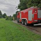 Fotka nr 4 z 12
