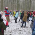 Fotka nr 3 z 12