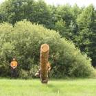 zdjęcie nr 71