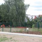 zdjęcie nr 26