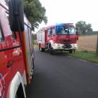 Fotka nr 2 z 3