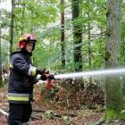 zdjęcie nr 13