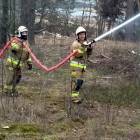 Fotka nr 3 z 18
