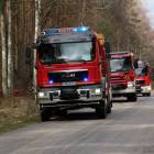 zdjęcie nr 91